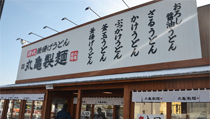 Marugame Noodles Yashio Restaurant